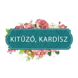 Kitűző, Kardísz
