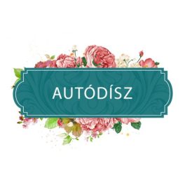 Autódísz